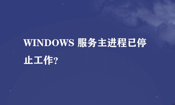 WINDOWS 服务主进程已停止工作？