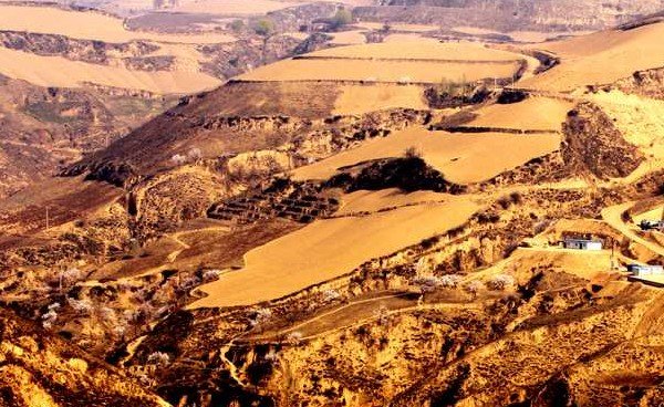 我国的四大高原 四大盆地 三大平原 的特征