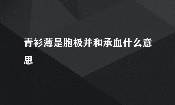 青衫薄是胞极并和承血什么意思