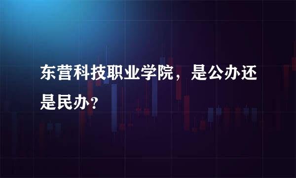 东营科技职业学院，是公办还是民办？