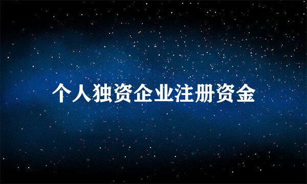 个人独资企业注册资金