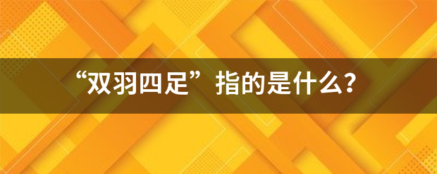 “双羽四足”指的是什么？