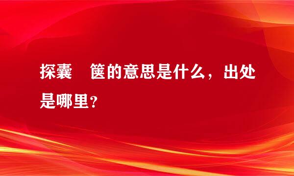 探囊胠箧的意思是什么，出处是哪里？
