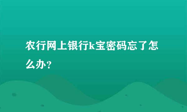 农行网上银行k宝密码忘了怎么办？