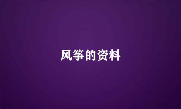 风筝的资料