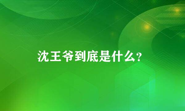 沈王爷到底是什么？