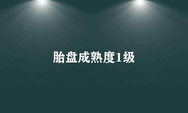 胎盘成熟度1级