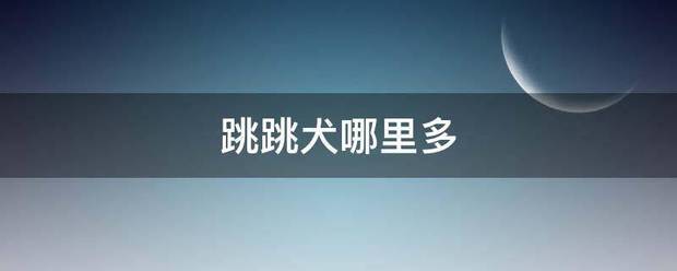 跳跳犬哪里多