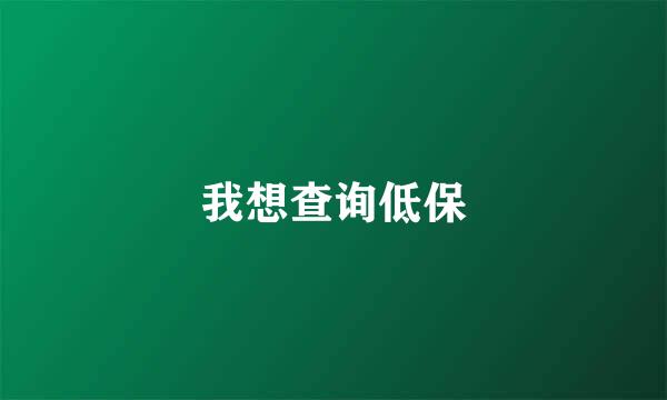 我想查询低保