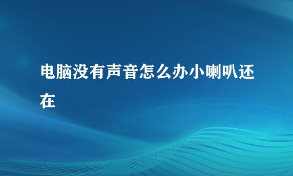 电脑没有声音怎么办小喇叭还在