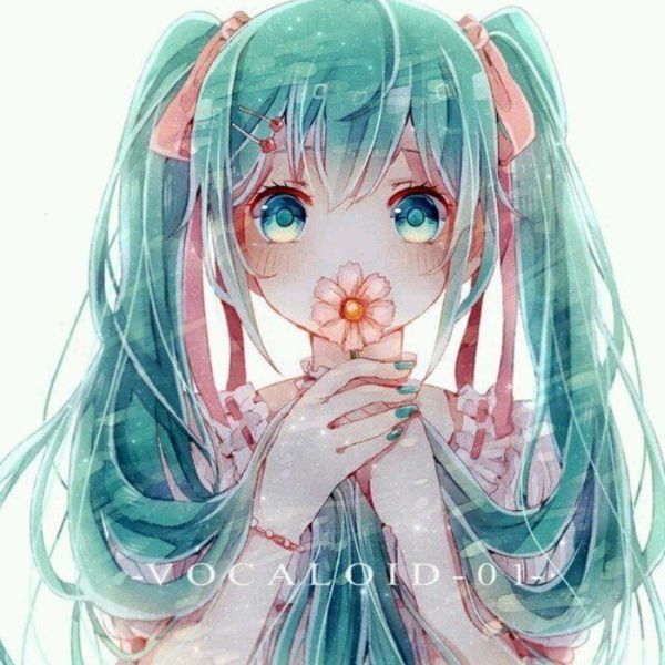 求初音图片，樱初音，雪初音，荷初音，水初音对刻胜块社其黄财重，和冰初音