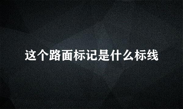 这个路面标记是什么标线