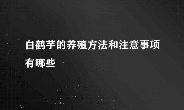 白鹤芋的养殖方法和注意事项有哪些
