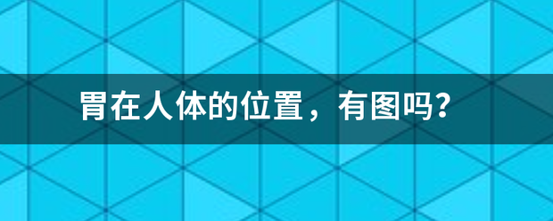 胃在人体的位置，有图吗？