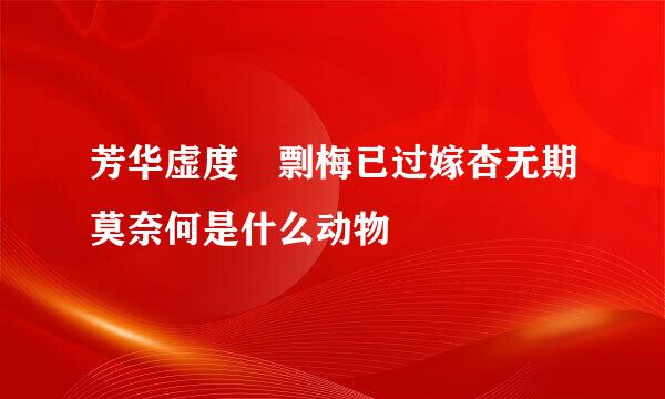 芳华虚度 剽梅已过嫁杏无期莫奈何是什么动物