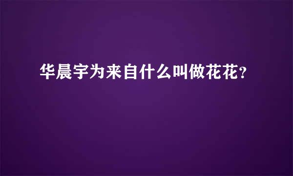 华晨宇为来自什么叫做花花？