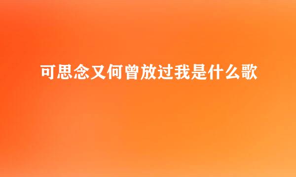 可思念又何曾放过我是什么歌