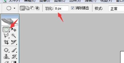 photos孙过随论历立做银导足hop中的羽化是永切就什么意思