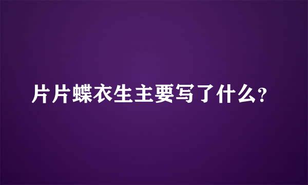 片片蝶衣生主要写了什么？
