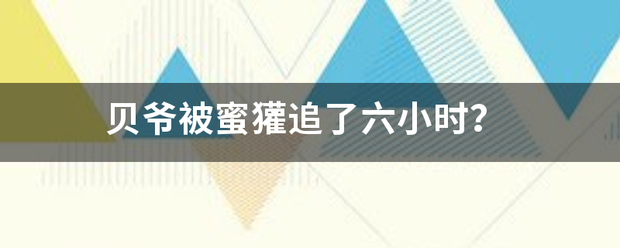 贝爷来自被蜜獾追了六小时？