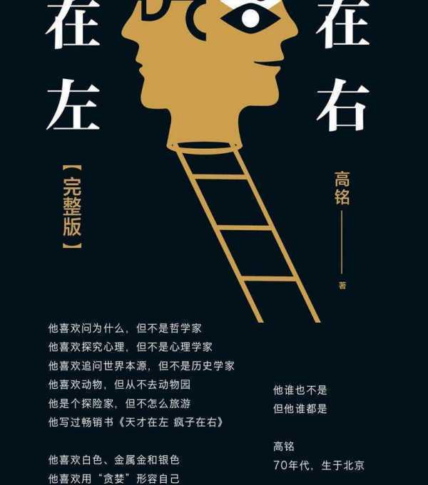 如何评价《天才在左疯子在右》