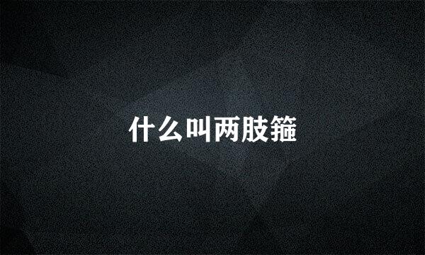 什么叫两肢箍