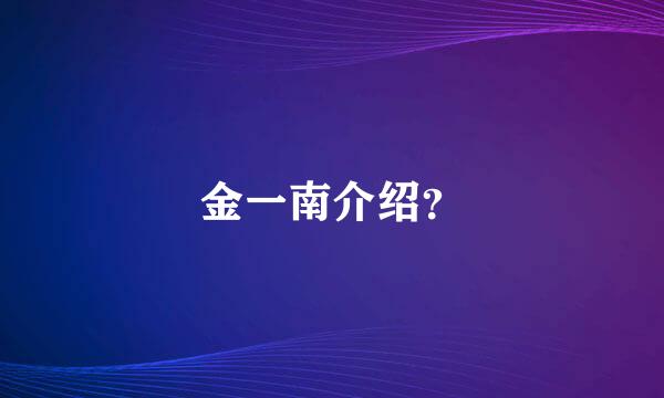 金一南介绍？