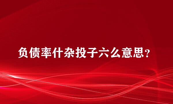 负债率什杂投子六么意思？