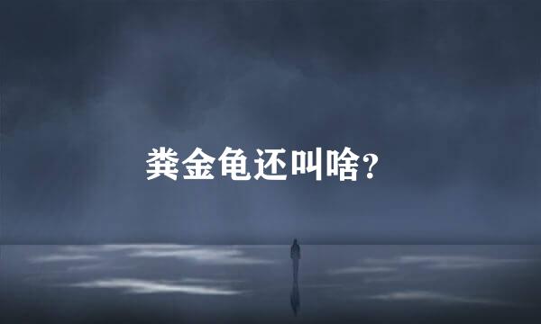 粪金龟还叫啥？