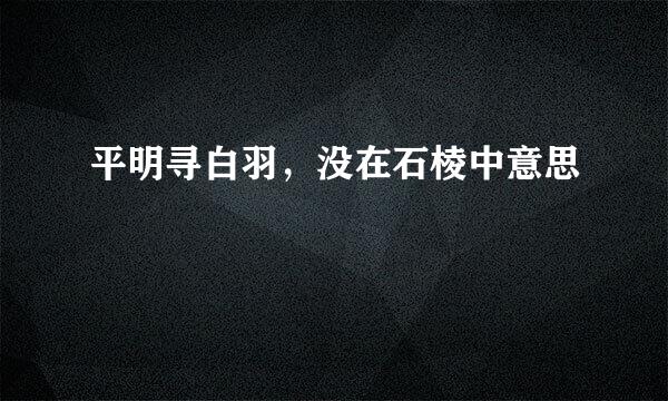 平明寻白羽，没在石棱中意思