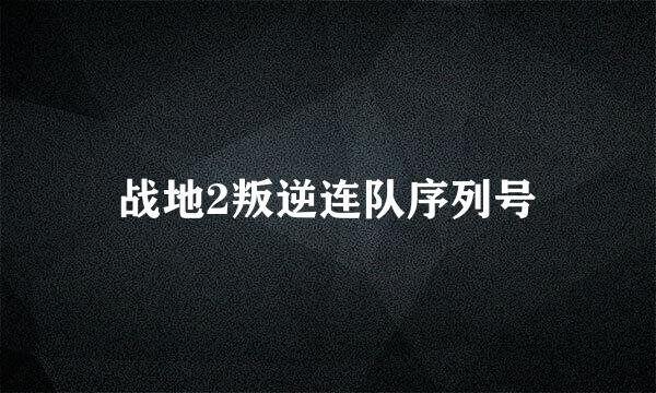 战地2叛逆连队序列号