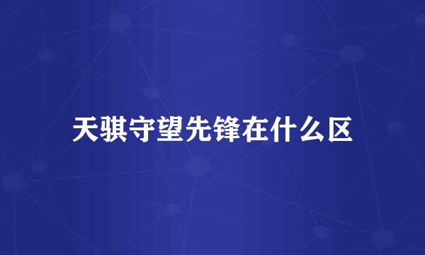 天骐守望先锋在什么区