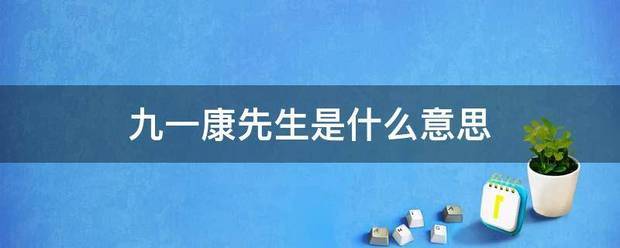 九一康先生是什么意思