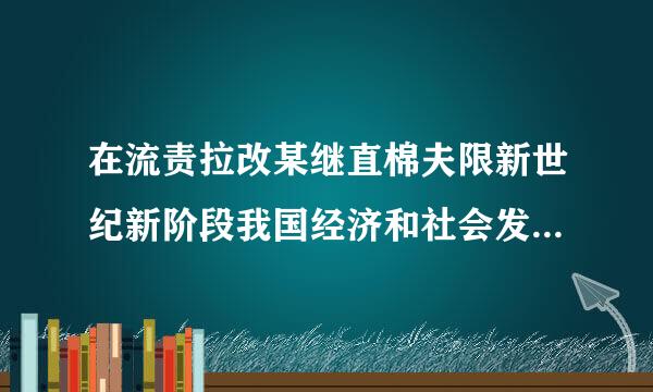 在流责拉改某继直棉夫限新世纪新阶段我国经济和社会发展的战略目标是什么？