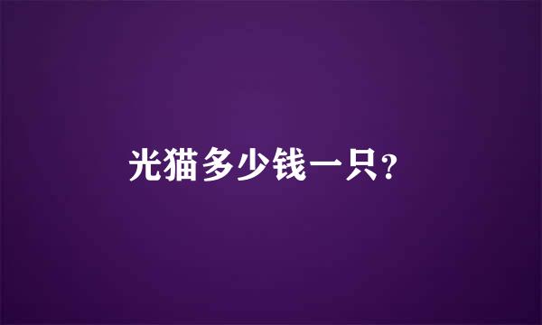 光猫多少钱一只？