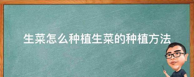 生菜来自怎么种植生菜的种植360问答方法