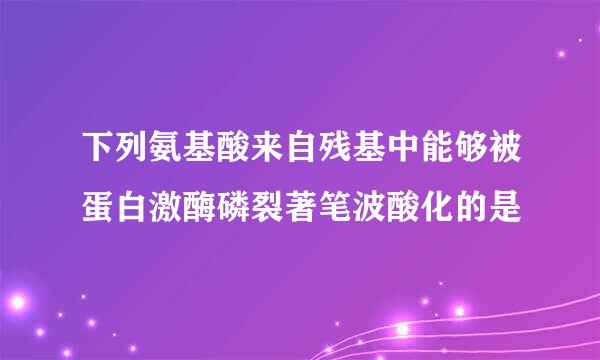 下列氨基酸来自残基中能够被蛋白激酶磷裂著笔波酸化的是