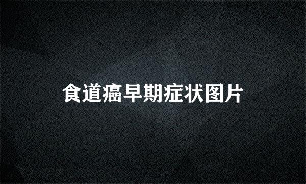 食道癌早期症状图片