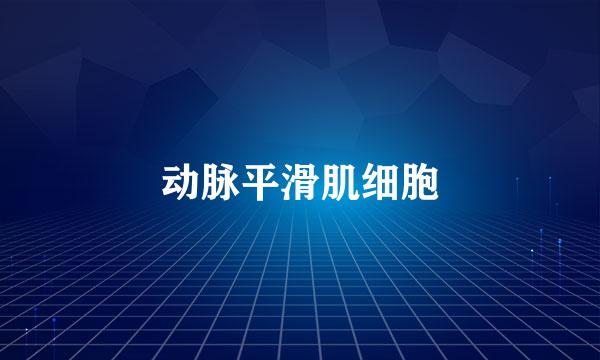 动脉平滑肌细胞