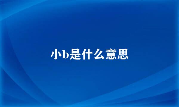 小b是什么意思