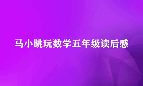 马小跳玩数学五年级读后感