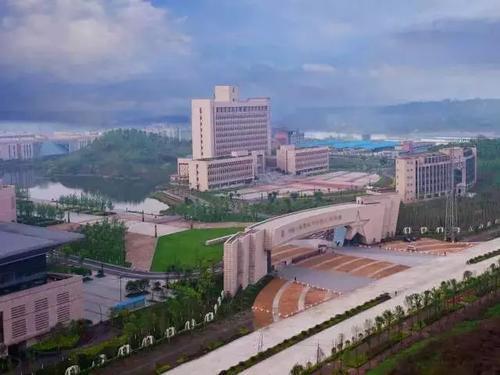 重庆率革露负处系龙注许传媒大学有哪些?