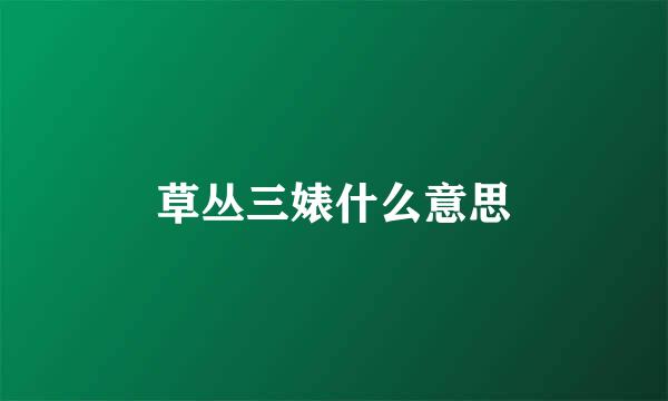 草丛三婊什么意思