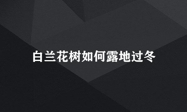 白兰花树如何露地过冬