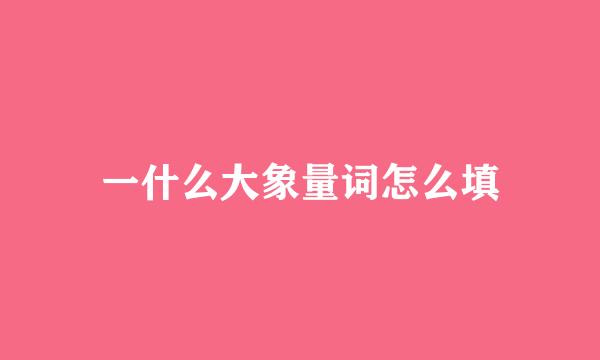 一什么大象量词怎么填