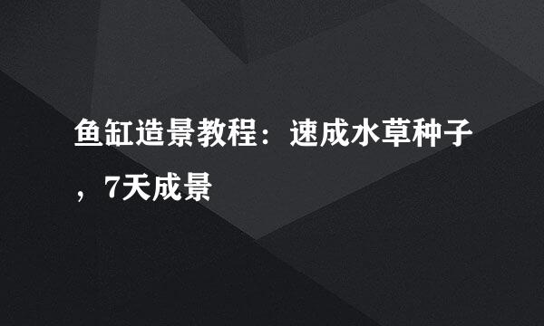 鱼缸造景教程：速成水草种子，7天成景