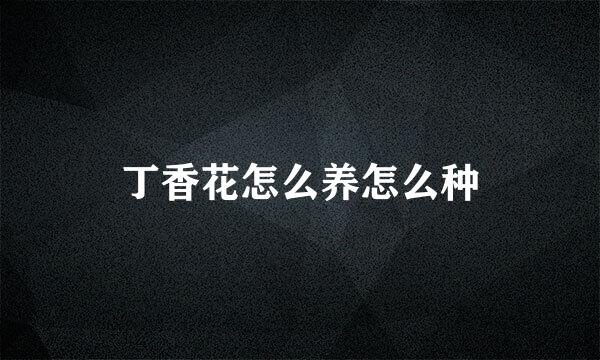 丁香花怎么养怎么种