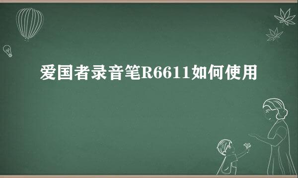 爱国者录音笔R6611如何使用