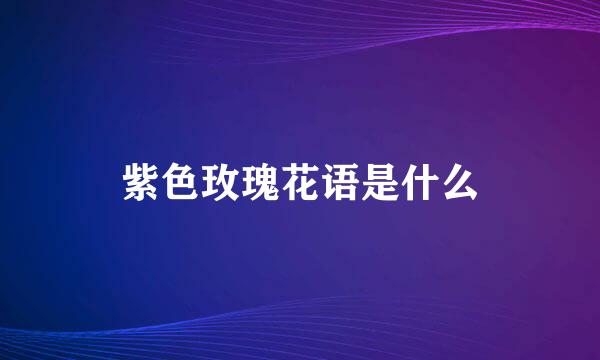 紫色玫瑰花语是什么