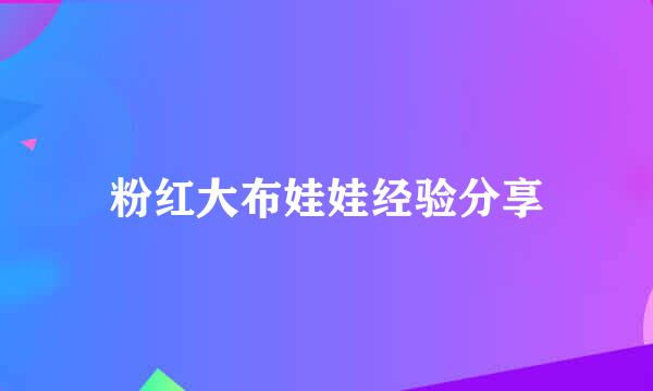 粉红大布娃娃经验分享